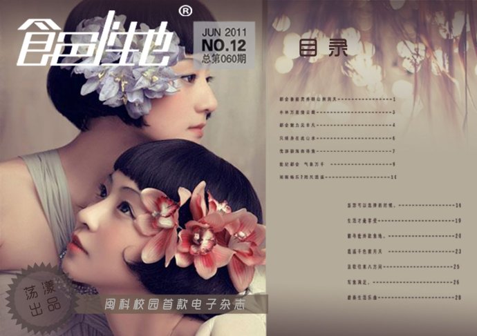 期刊內(nèi)刊雜志